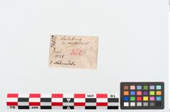 Etiketten zu Bronzenähnadel (NHMW-PRAE-024832)